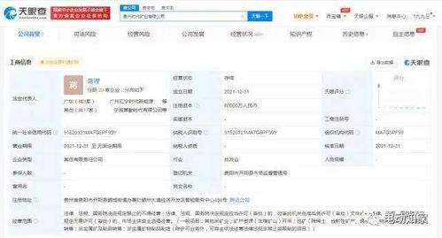 寧德時代成立礦業(yè)公司，新材料技術推廣服務助力產(chǎn)業(yè)升級